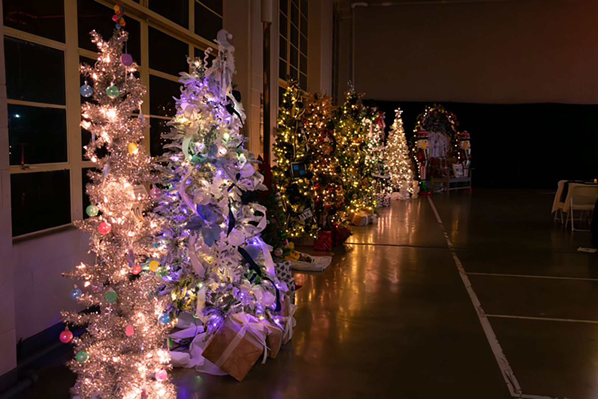 DCH’s Festival of Trees raises approximately $10,000 to support Perinatal Pathways