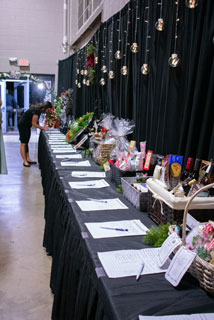 DCH’s Festival of Trees raises approximately $10,000 to support Perinatal Pathways