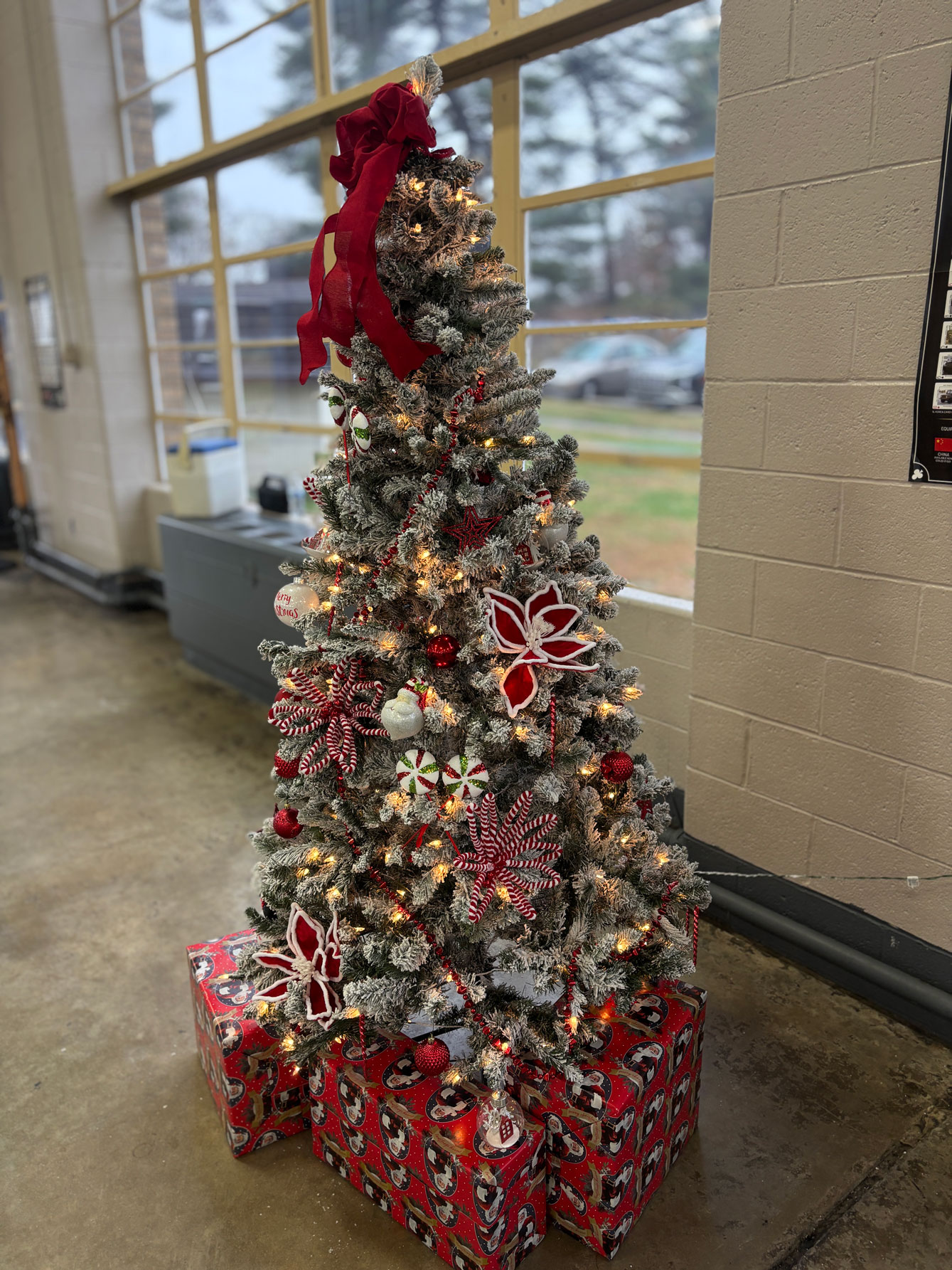 DCH’s Festival of Trees raises approximately $10,000 to support Perinatal Pathways